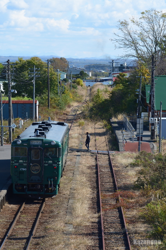 2225D ���ʗ��