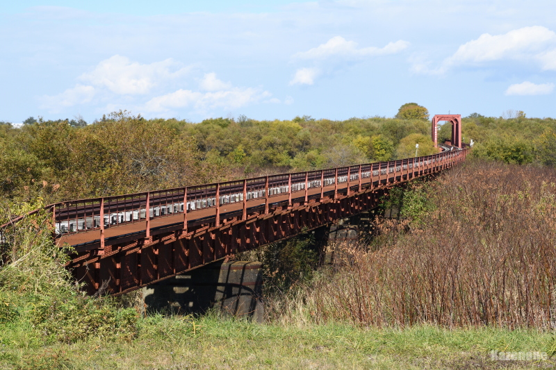 �����{���p�~��� ���싴��