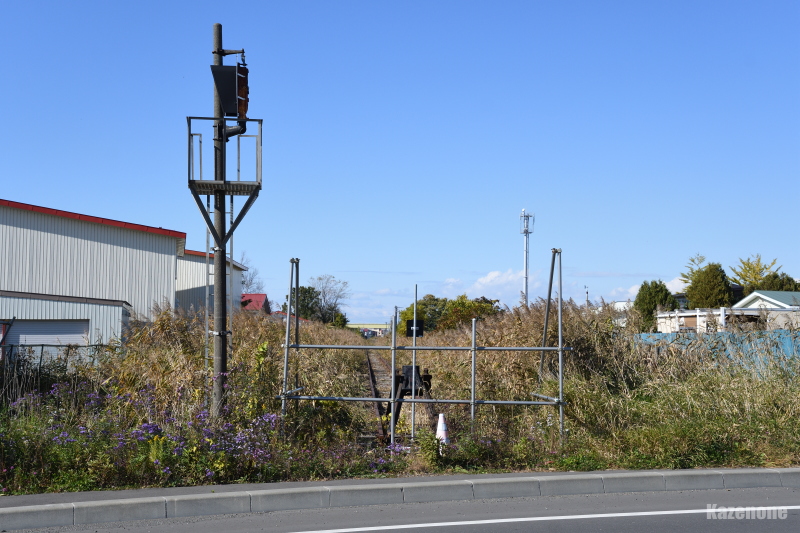 �����{���p�~��� ����w���[��