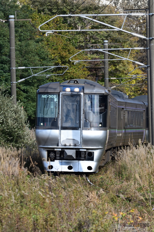 1004M ���}�������S��