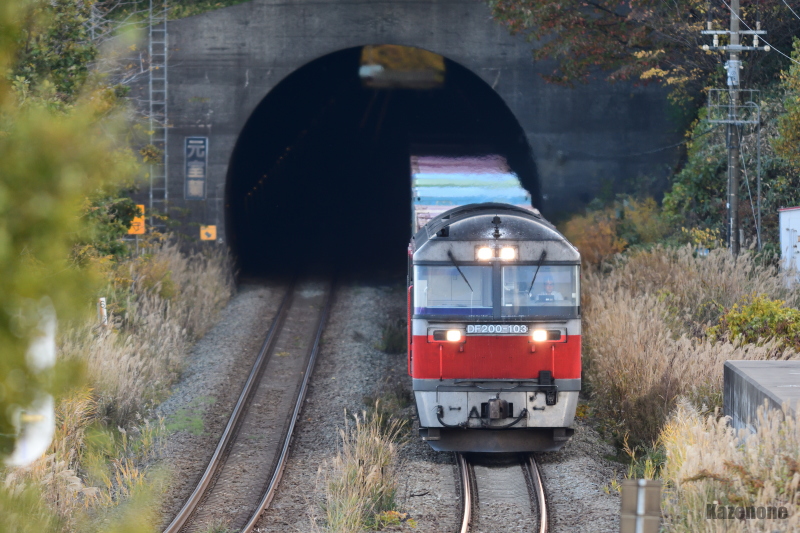 50�� �����ݕ����