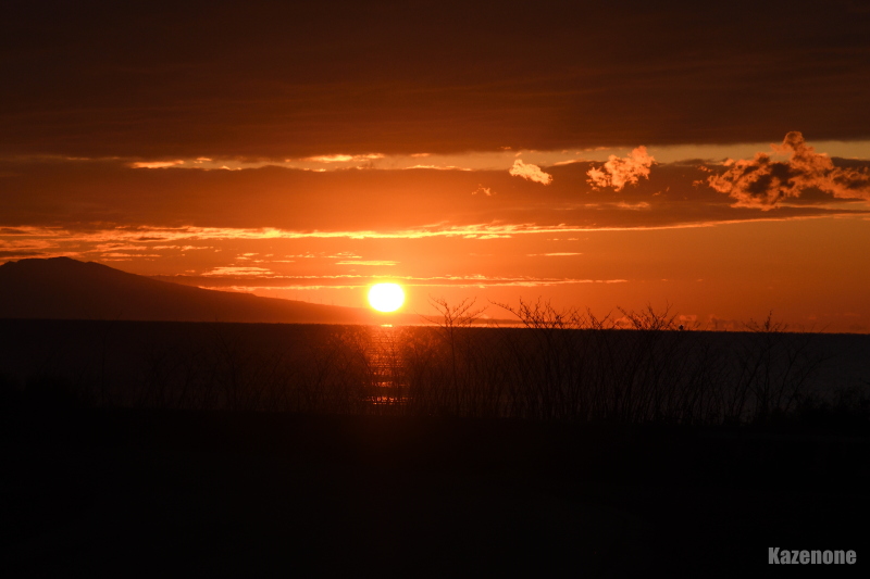 ���̓��̓��̏o