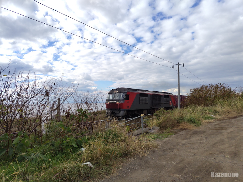 ���P�n�����ɗ���񂩂��E�K�E(�m�D`)�E�K�E