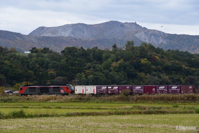 3056�� �����ݕ����