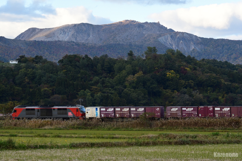 50�� �����ݕ����