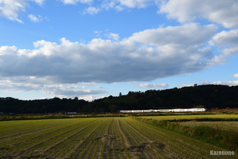 14D ���}�k�l�P�S��