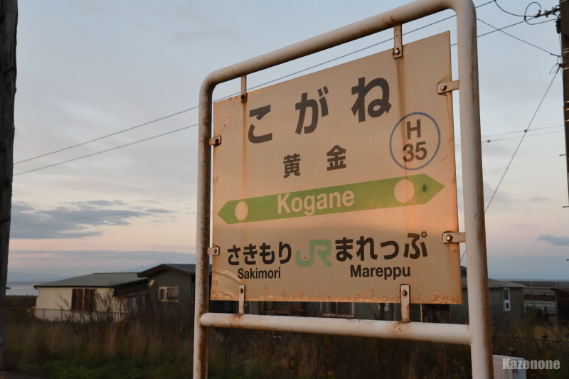 �����{�� �����w