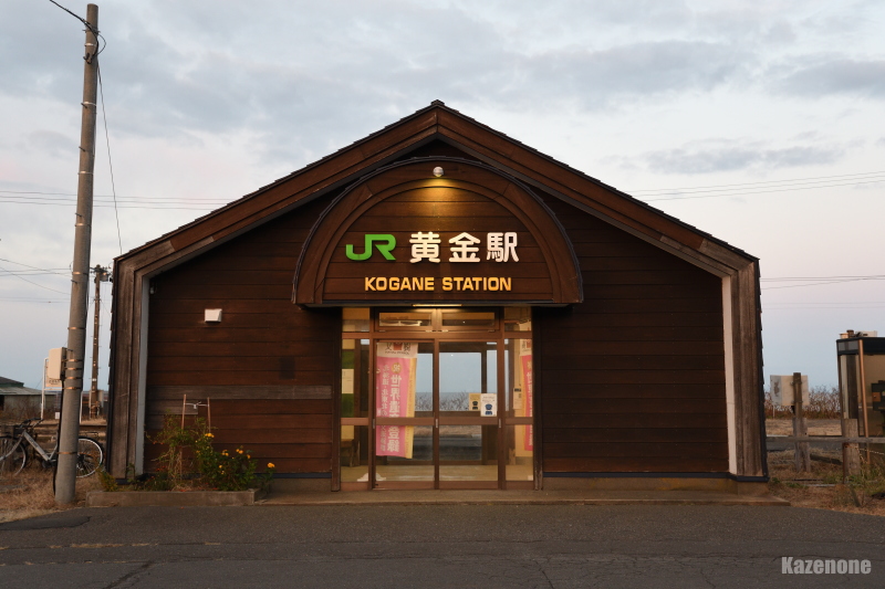 �����{�� �����w