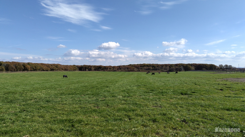 ����ς�A�Б�̗͂͐����˂��c( �@�L�|�M)