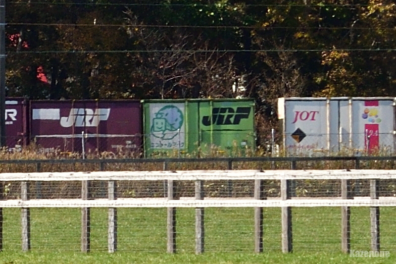 51�� �S���R���e�i�A��50���N�L�O�R���e�i