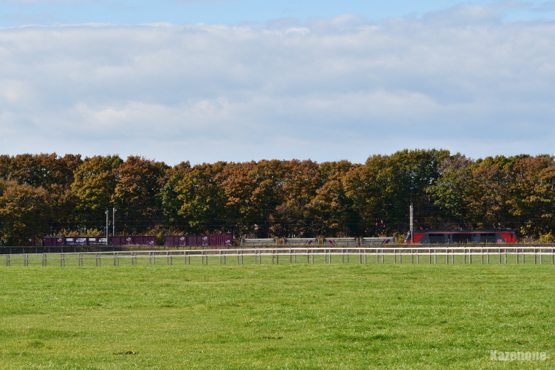 51�� �����ݕ����