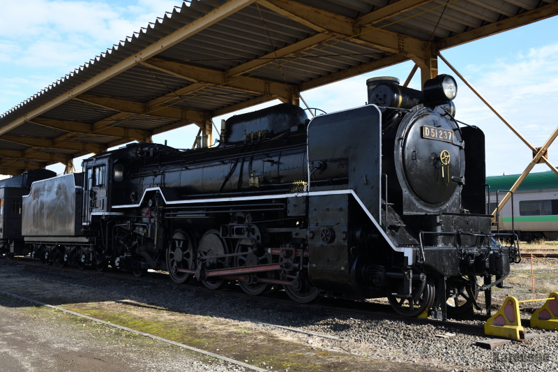 ���S���C�@�֎� D51 237���@