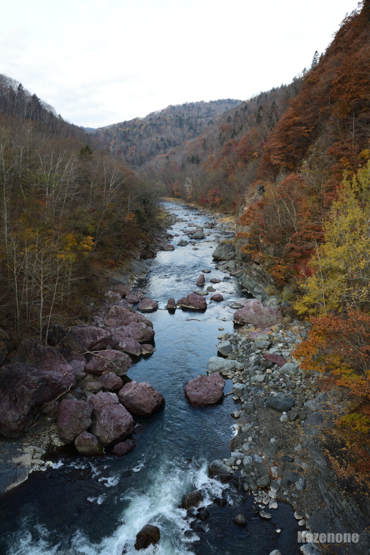 �芥 �Ԋ����