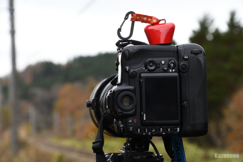 �k�C���B��S�̕K���i