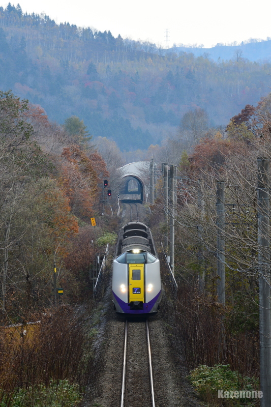 32D ���}�Ƃ����Q��