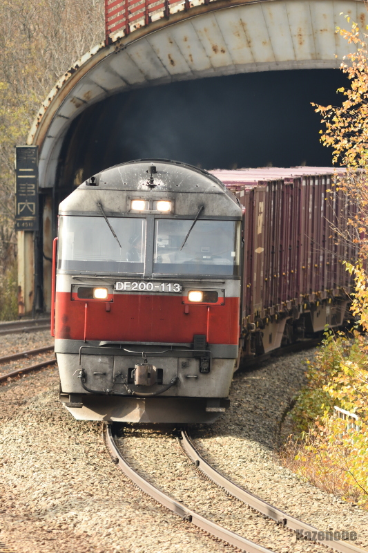 2073�� �����ݕ����