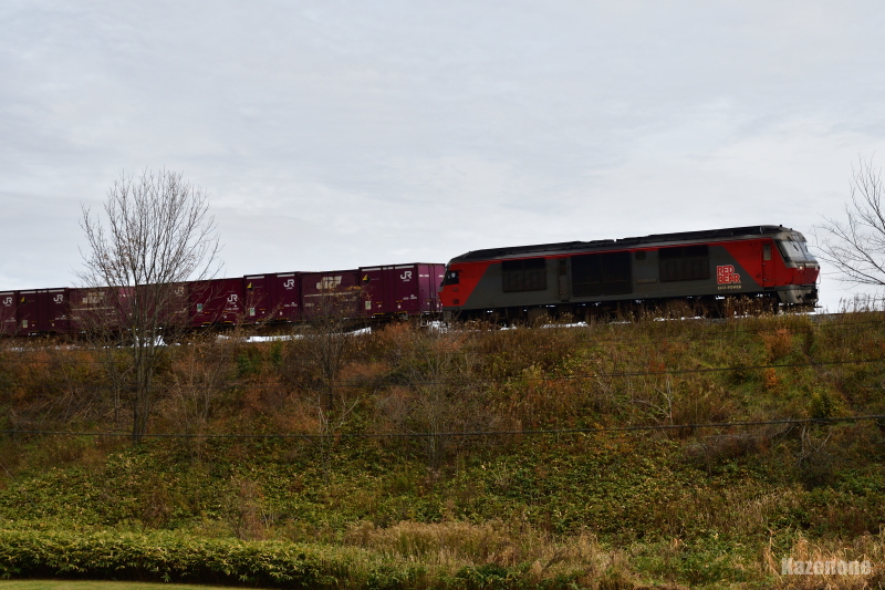 2073�� �����ݕ����