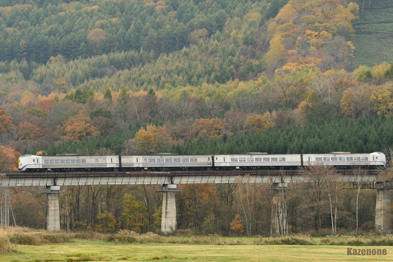 31D ���}�Ƃ����P��