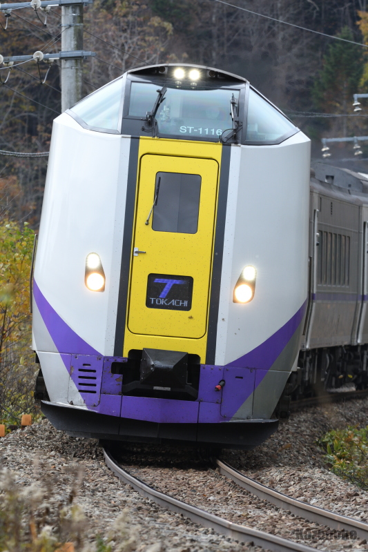 33D ���}�Ƃ����R��