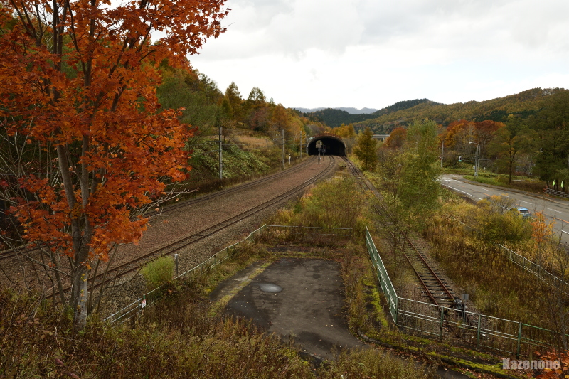 �Ώ��� ���M����i���F���w�j