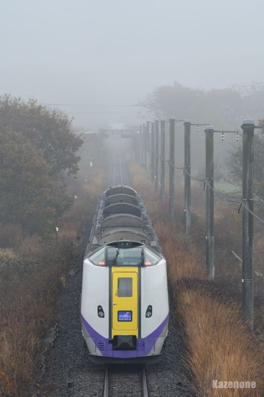 4001D ���ʗ��