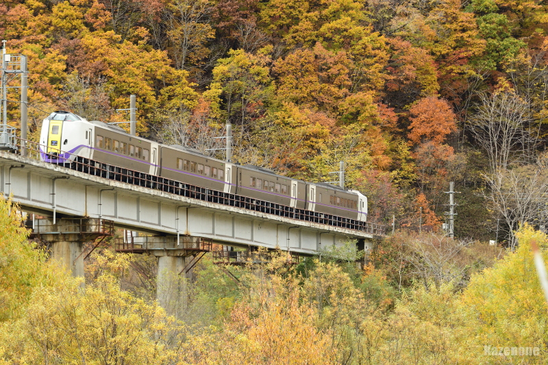 33D ���}�Ƃ����R��