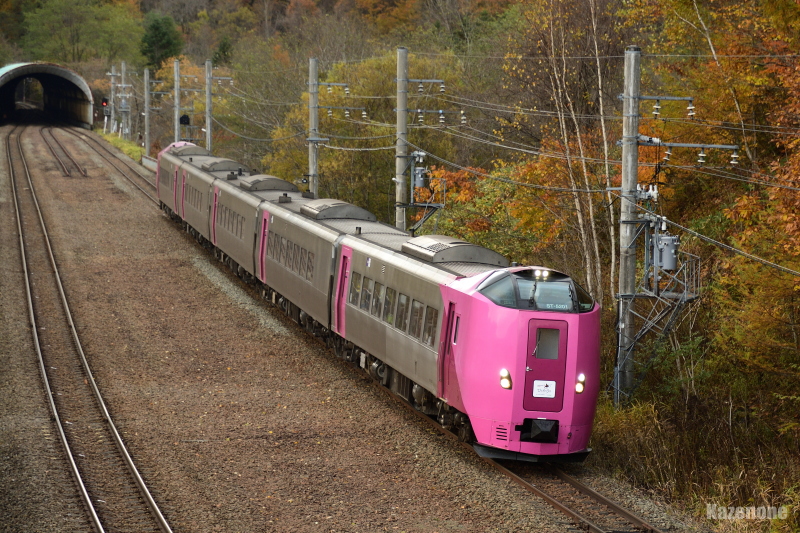 9042D HOKKAIDO LOVE! �ЂƂ߂��荆