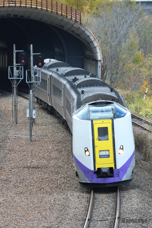 4005D ���}��������T��