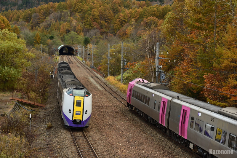 4005D ���}��������T���E9042D HOKKAIDO LOVE! �ЂƂ߂��荆