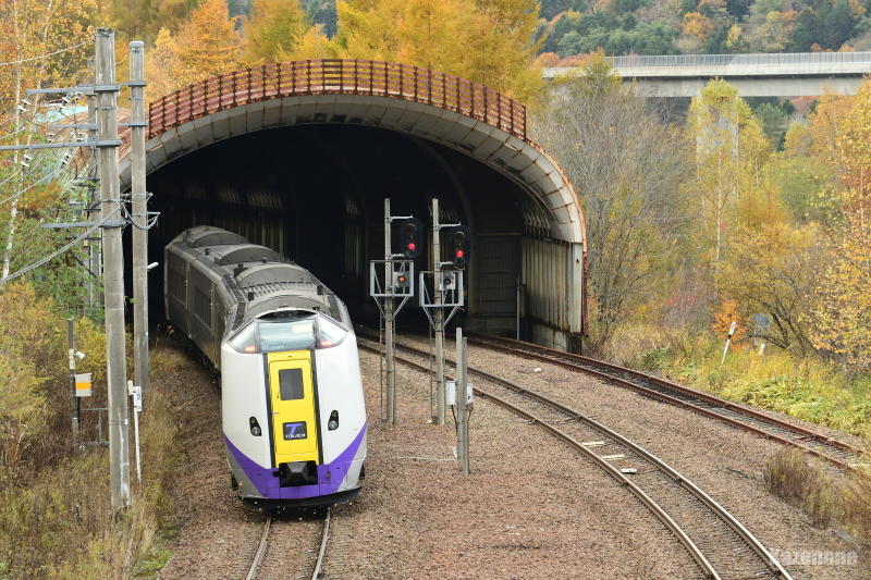 36D ���}�Ƃ����U��