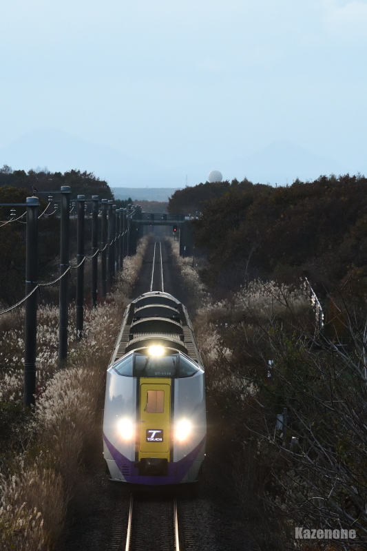 35D ���}�Ƃ����T��