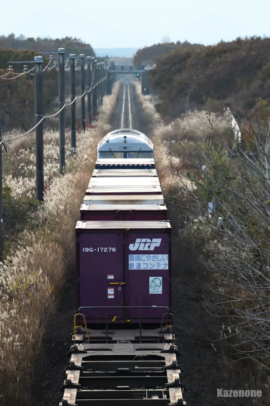 2070�� �����ݕ����