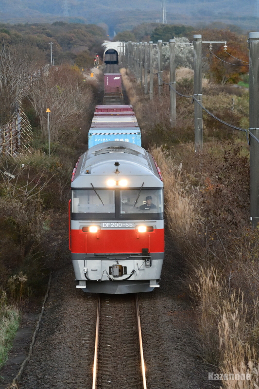 2070�� �����ݕ����