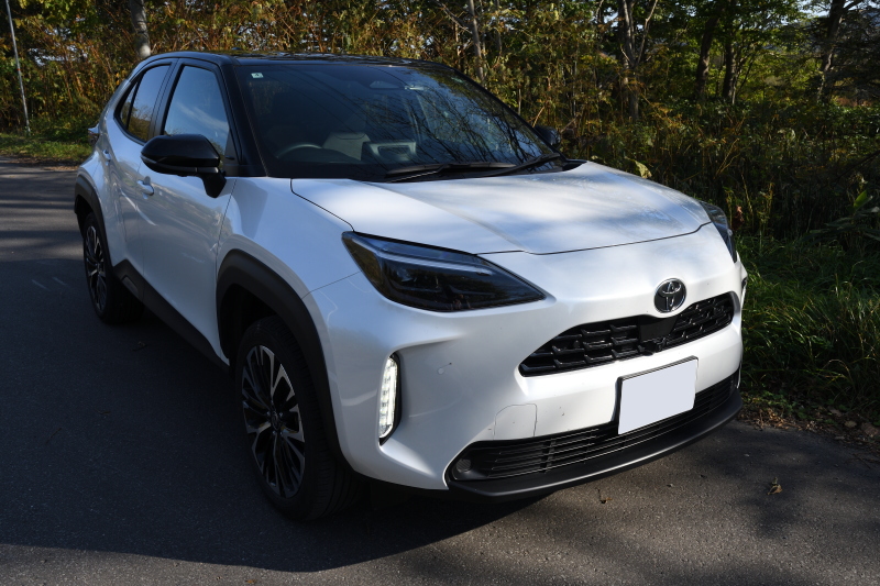 ����̃N���}