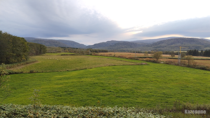 �m�F�z �_�Ɩ��h�u�t�@�[���C���g���g�v�q������̕��i