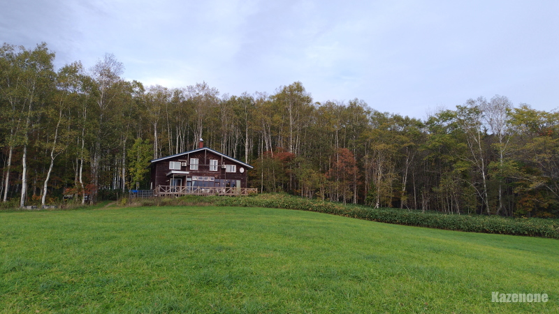 �m�F�z �_�Ɩ��h�u�t�@�[���C���g���g�v