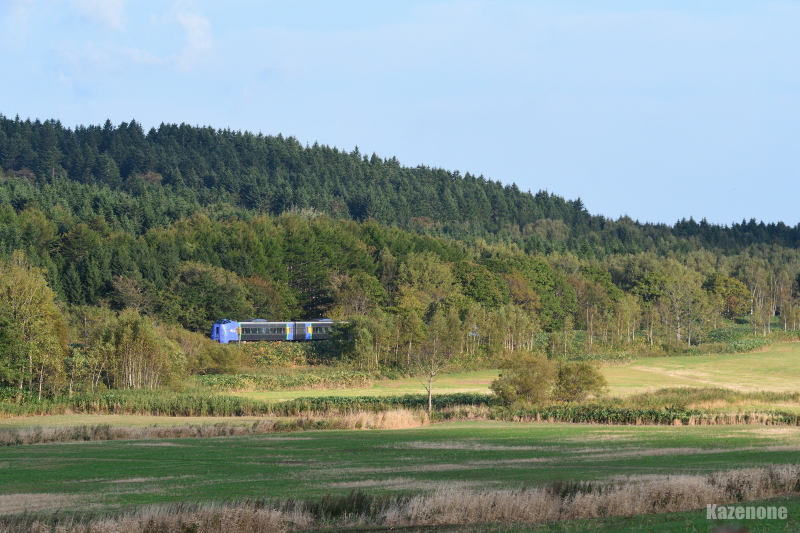 62D ���}�T���x�c�Q��