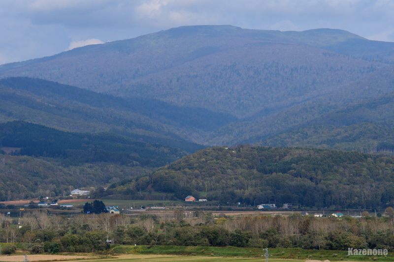 4326D ���ʗ��