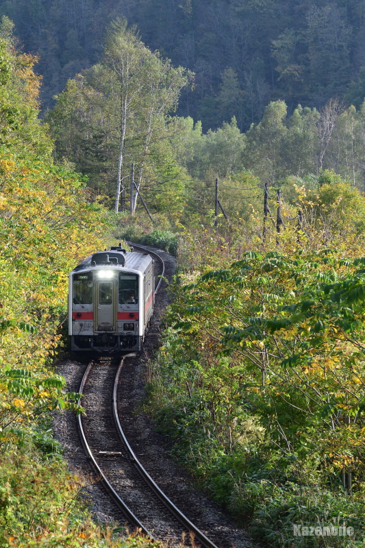 4327D ���ʗ��