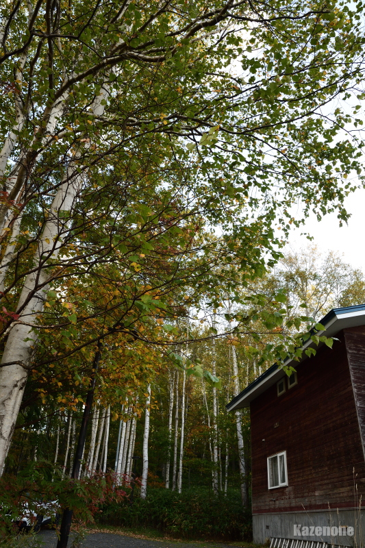 ���t���x��C���H