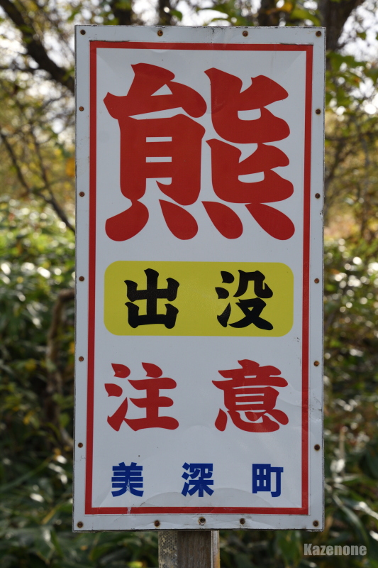 ���R�A����I