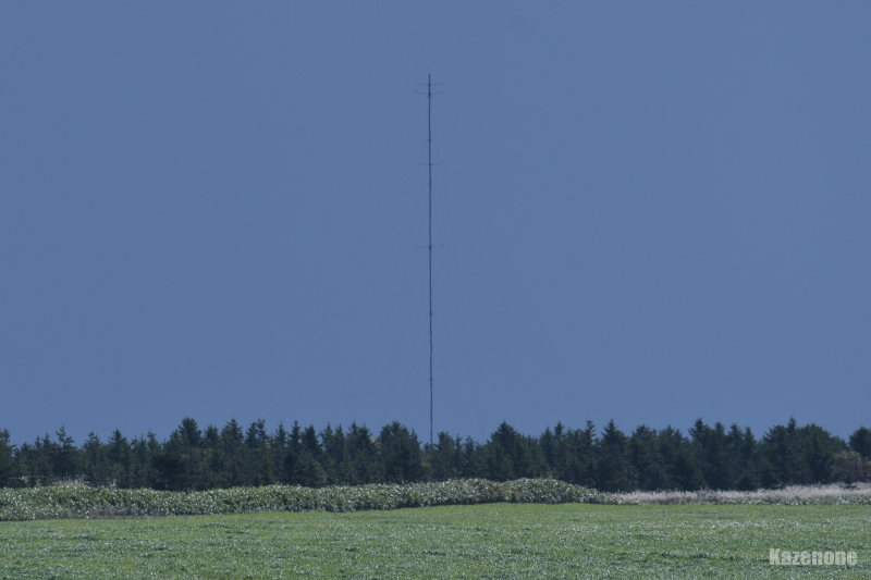 �܂����A�����ɂ����͔��d�����񂩂��ȁi�L�E�ցE�M�j