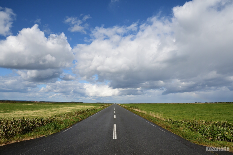 ���� �G�T�k�J��