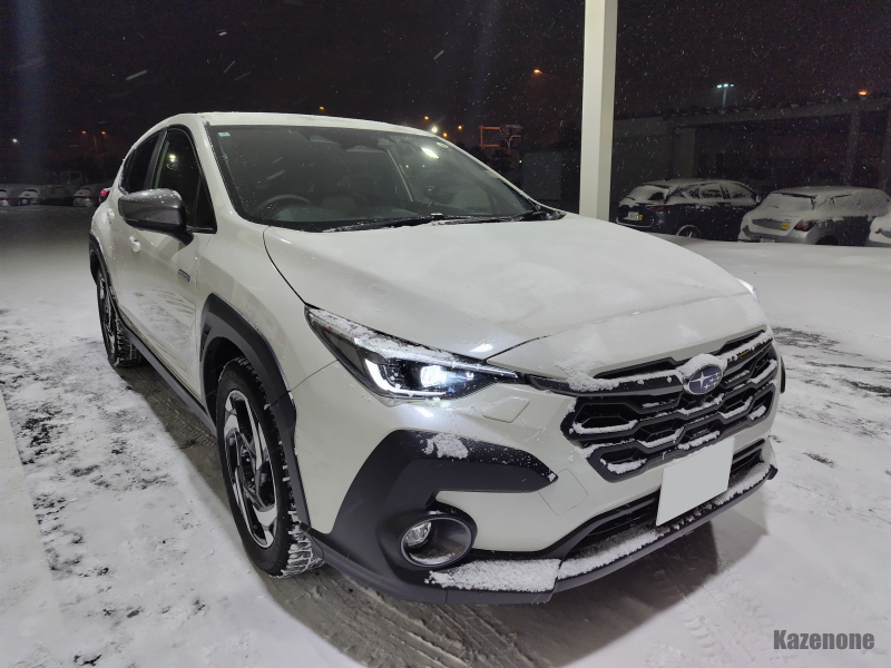 ����̃N���}