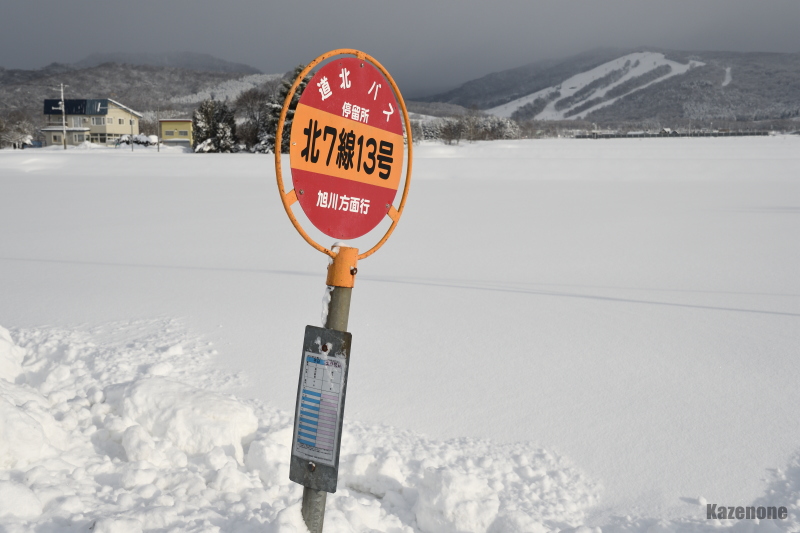 ���k�o�X ����� �k�V���P�R���o�X�� �|�X�g