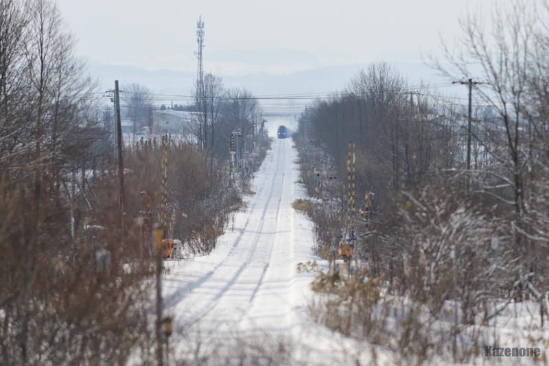 51D ���}�@�J