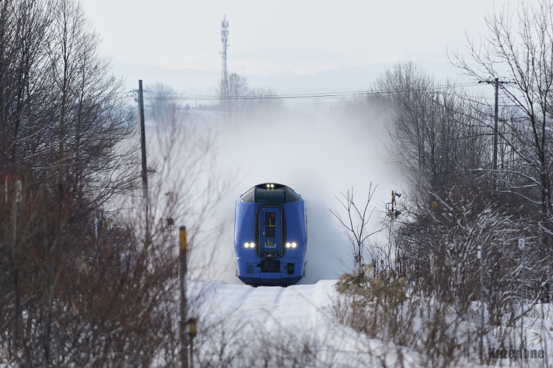 51D ���}�@�J