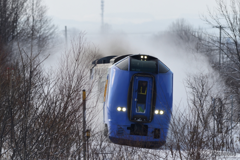 51D ���}�@�J