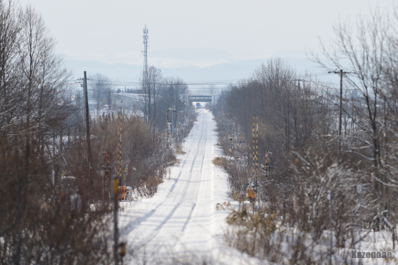 51D ���}�@�J