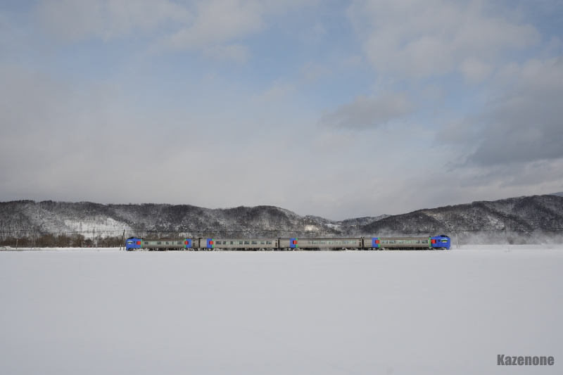 72D ���}�I�z�[�c�N�Q��